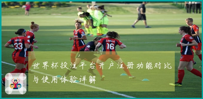 世界杯投注平台开户注册功能对比与使用体验详解