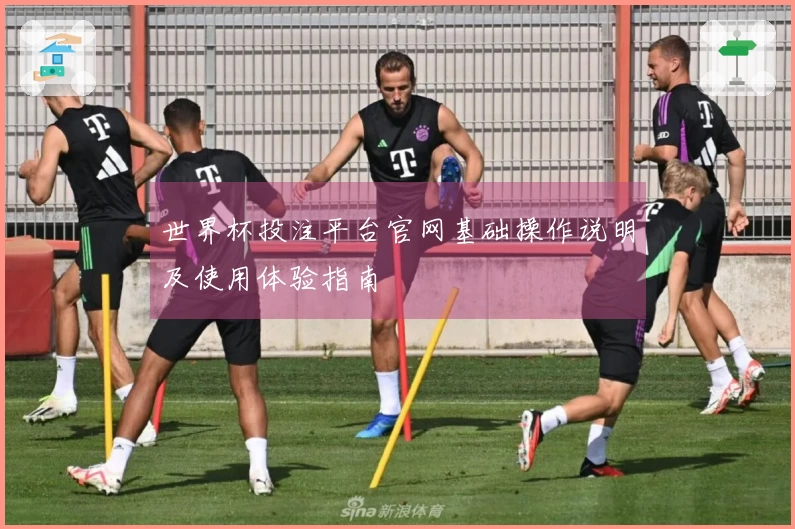 世界杯投注平台官网基础操作说明及使用体验指南