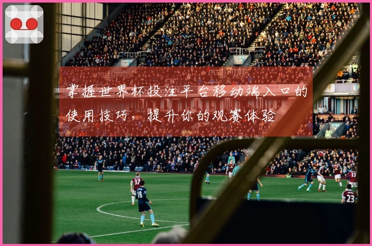 掌握世界杯投注平台移动端入口的使用技巧，提升你的观赛体验