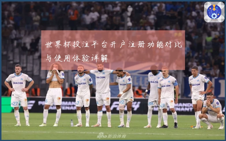 世界杯投注平台开户注册功能对比与使用体验详解