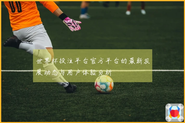 世界杯投注平台官方平台的最新发展动态与用户体验分析