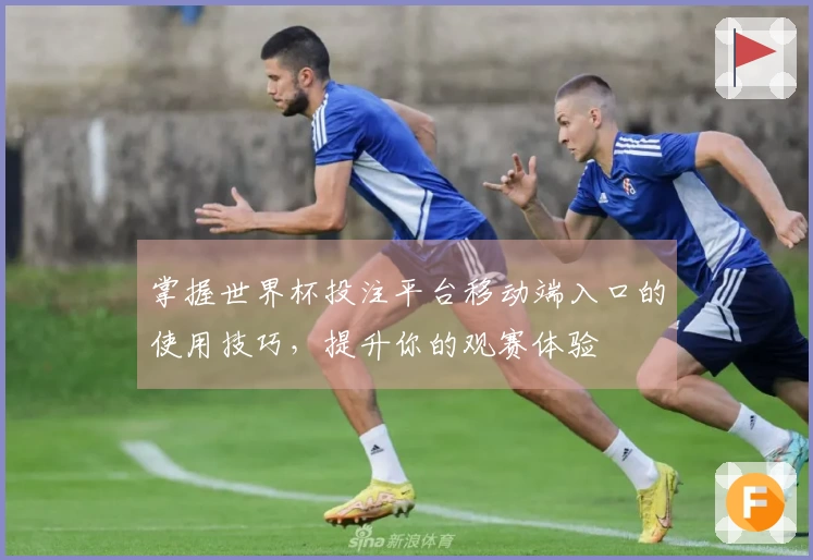 掌握世界杯投注平台移动端入口的使用技巧，提升你的观赛体验