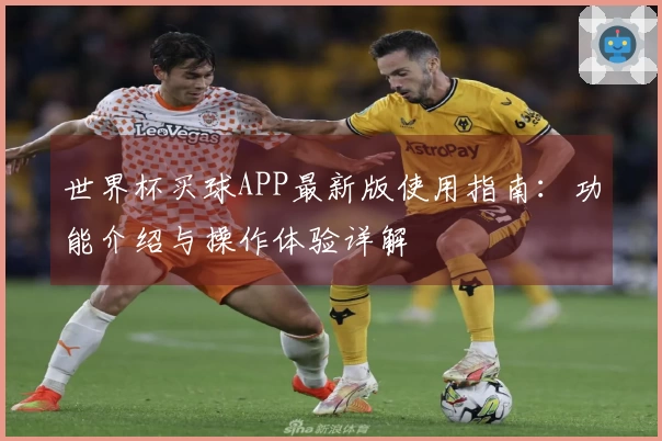 世界杯买球APP最新版使用指南:功能介绍与操作体验详解